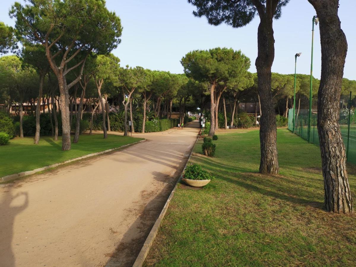 Deliziosa Villetta Sul Mare Appena Ristrutturata Пула Экстерьер фото