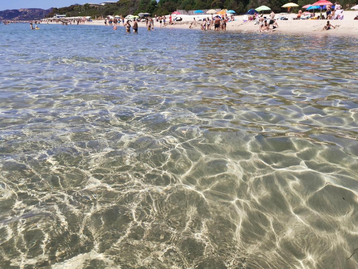 Deliziosa Villetta Sul Mare Appena Ristrutturata Пула Экстерьер фото