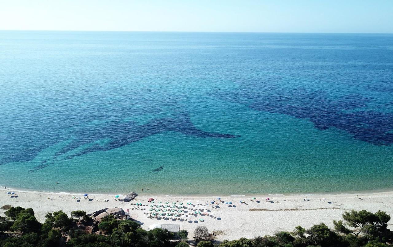 Deliziosa Villetta Sul Mare Appena Ristrutturata Пула Экстерьер фото