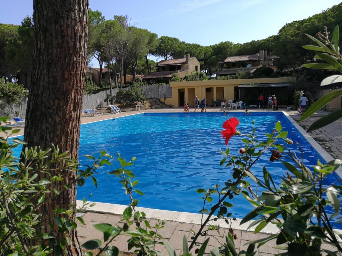 Deliziosa Villetta Sul Mare Appena Ristrutturata Пула Экстерьер фото