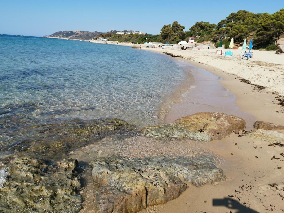 Deliziosa Villetta Sul Mare Appena Ristrutturata Пула Экстерьер фото